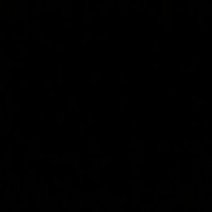 Meet your Posher, Natasha